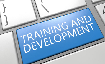 Job Training & Development